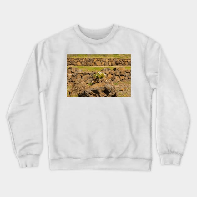 Stonewall with offering Crewneck Sweatshirt by KensLensDesigns